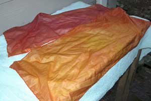 Lobster scarf with alkaline/acid pH shift