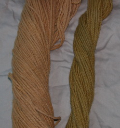 Disappointing Phaeolus buttons