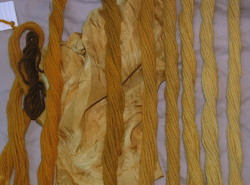 Phaeolus buttons, second batch