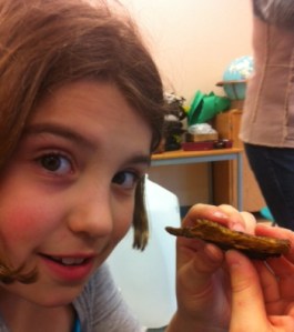 Getting comfortable with mushrooms