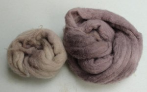 Ramaria after Freezing