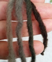 Tapinella burned exhaustFB