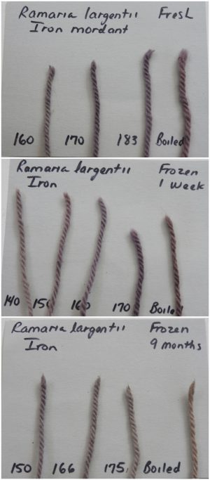 Ramaria samples, fresh and frozen